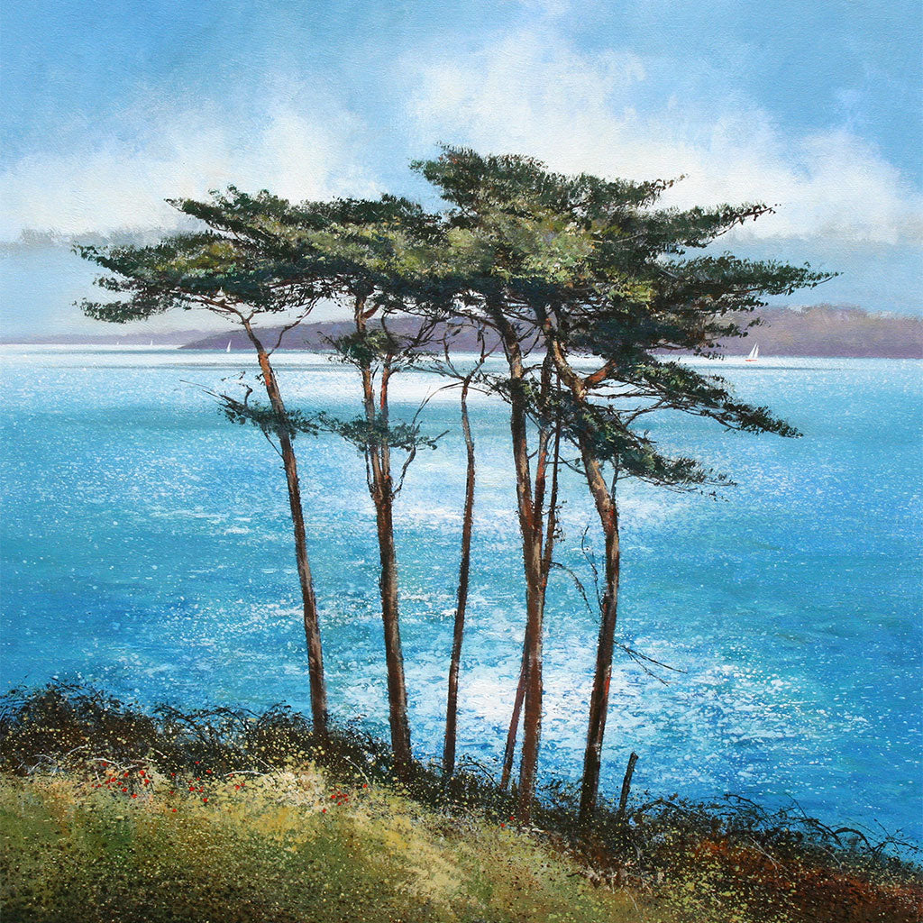 CC032 Sunlit Pines, Helford River